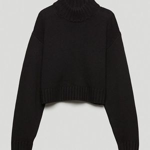 New with tags Aritzia Wilfred Free Harper Sweater